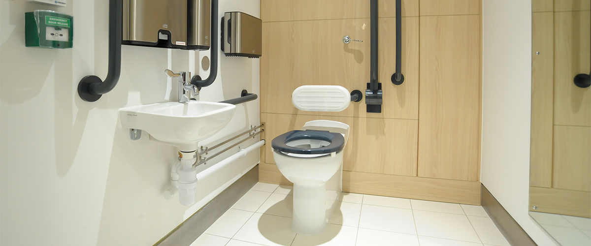 What challenges do Disabled Users encounter when using Public Toilets?