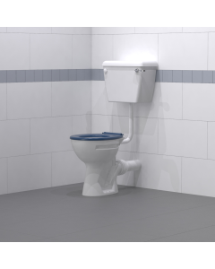 Fitzroy Of London Low level Disabled Toilet with Cistern and Toilet Seat