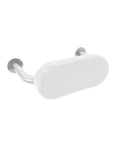 Dolphin Dispensers Stainless Steel Padded Backrest