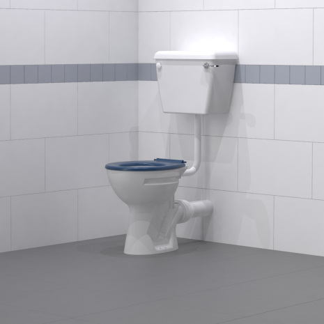 Fitzroy Of London Low level Disabled Toilet with Cistern and Toilet Seat