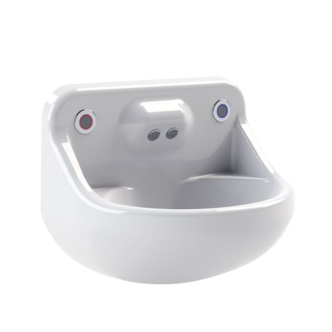 Delabie DVS Standard High security V2 basin with integrated backplate