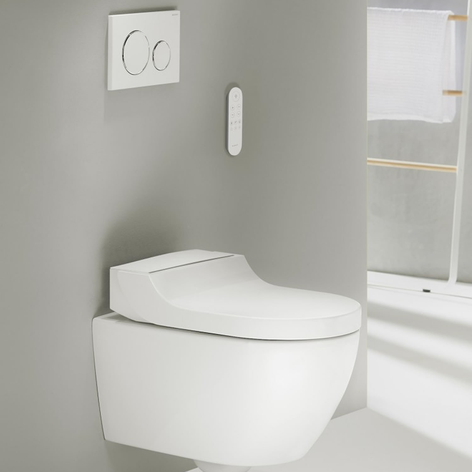 Bidet and Smart Shower Toilets