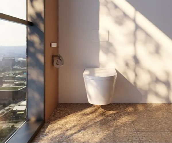 Ideal Standard Bidet Shower Toilet In Situ